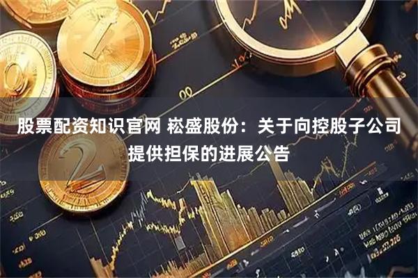 股票配资知识官网 崧盛股份：关于向控股子公司提供担保的进展公告