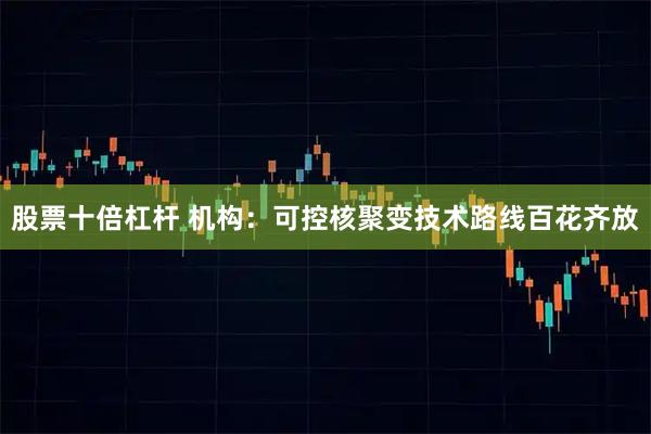 股票十倍杠杆 机构：可控核聚变技术路线百花齐放