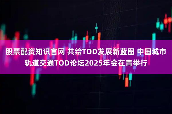 股票配资知识官网 共绘TOD发展新蓝图 中国城市轨道交通TOD论坛2025年会在青举行