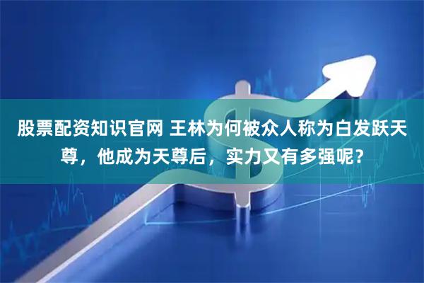 股票配资知识官网 王林为何被众人称为白发跃天尊，他成为天尊后，实力又有多强呢？