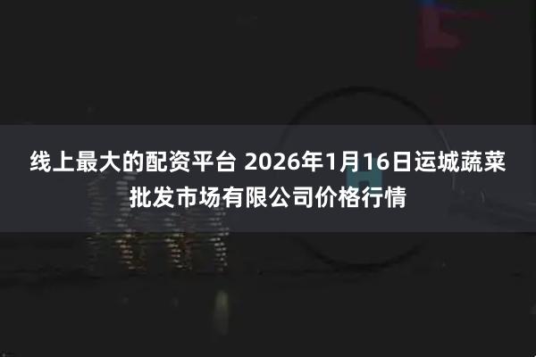 线上最大的配资平台 2026年1月16日运城蔬菜批发市场有限公司价格行情