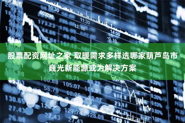 股票配资网址之家 取暖需求多样选哪家葫芦岛市巍光新能源或为解决方案